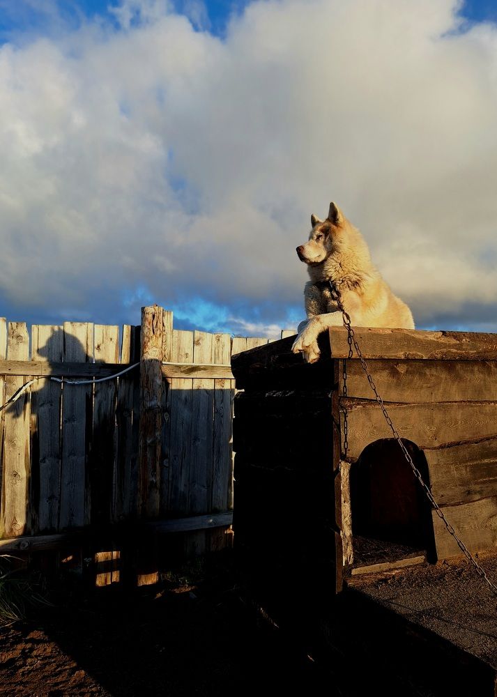 Photograph by Ольга