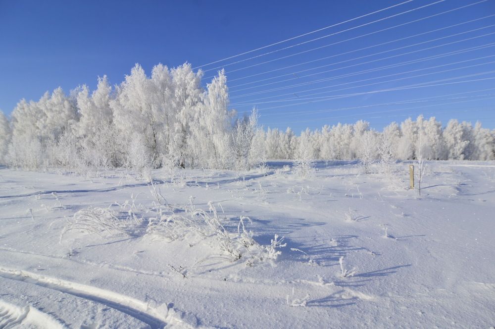 Фотография автора Клавдия Васильева