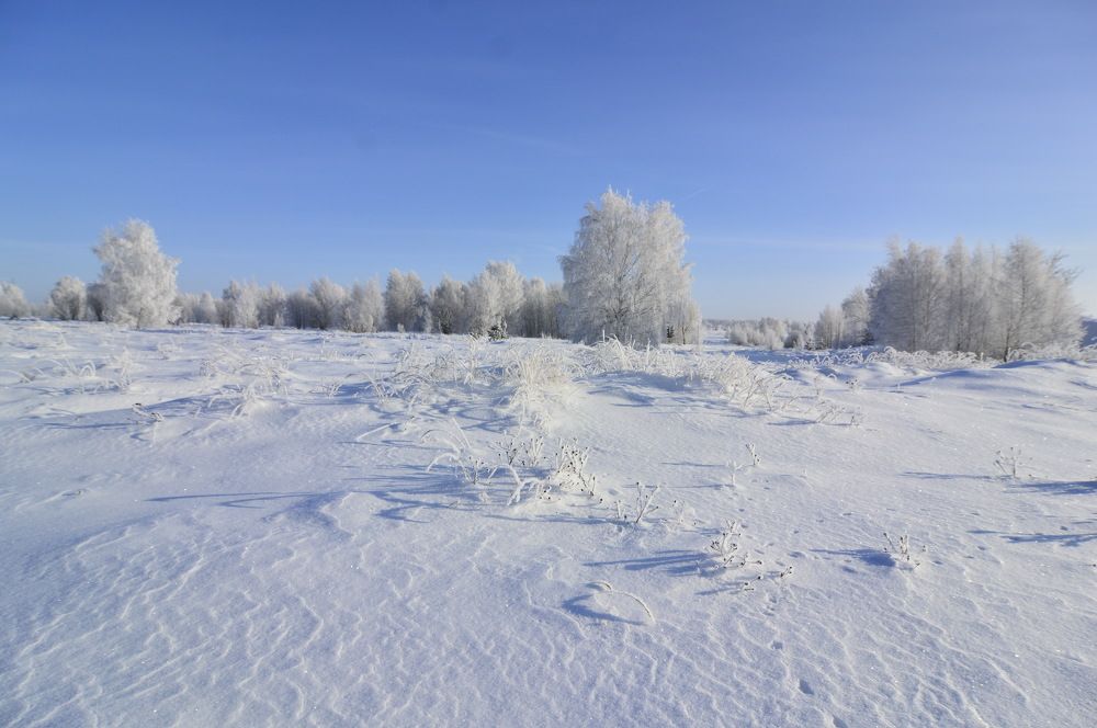 Фотография автора Клавдия Васильева