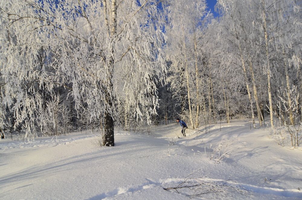 Фотография автора Клавдия Васильева