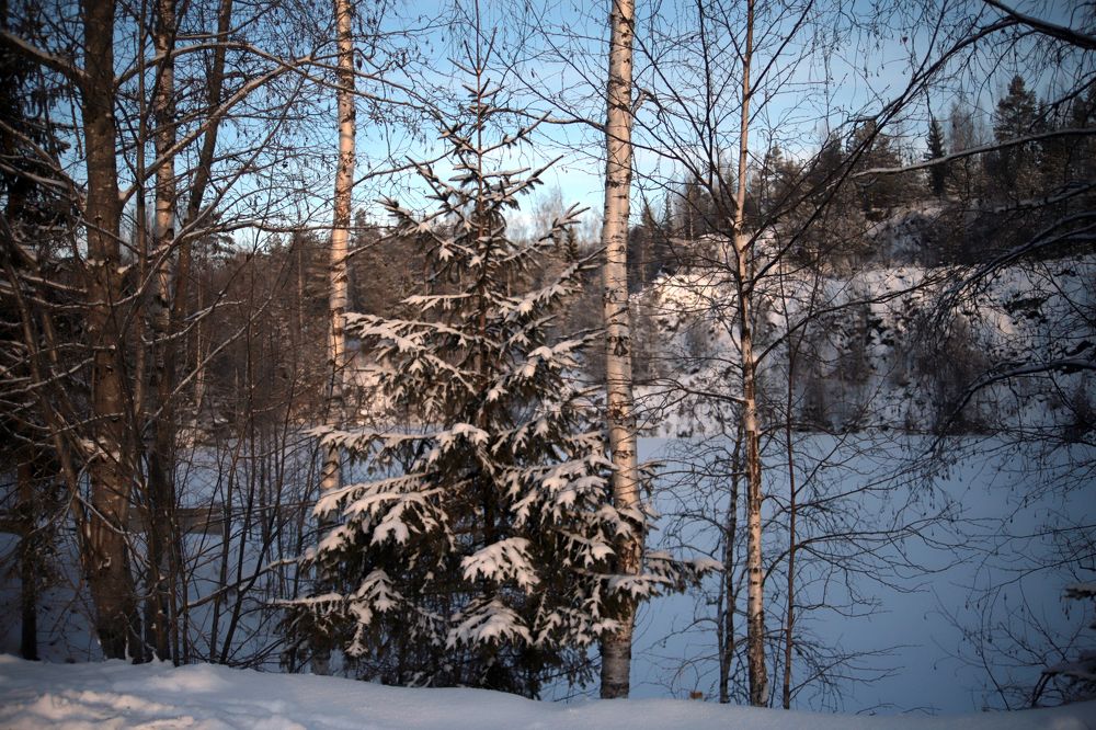 Photograph by Анурова Аля