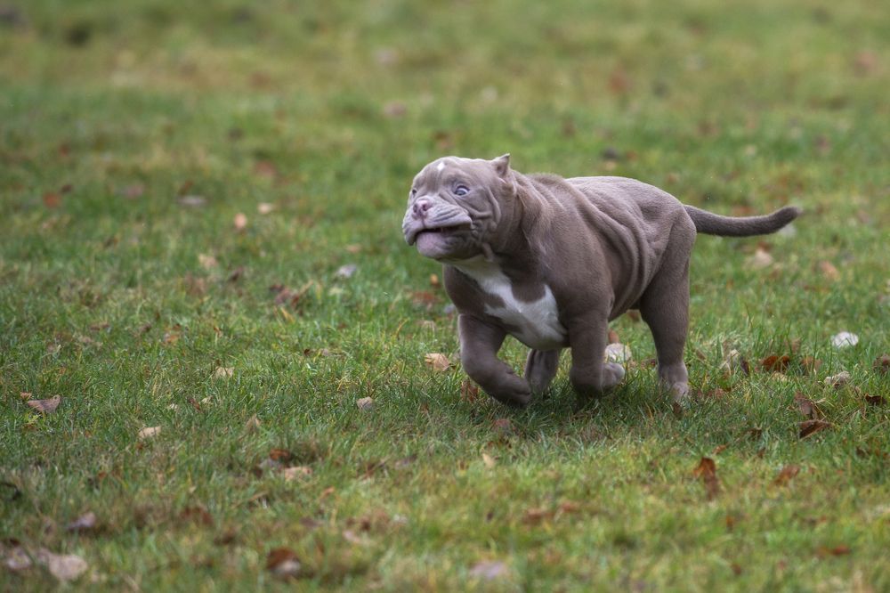 Photograph by Кулаков Юрий