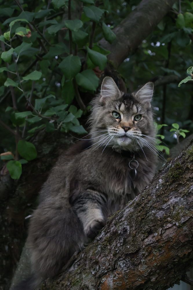 Photograph by Елена Коломиец