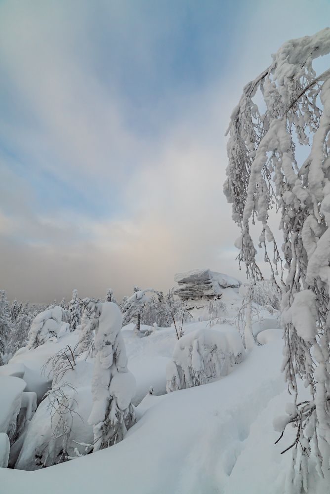 Photograph by Михаил Володин