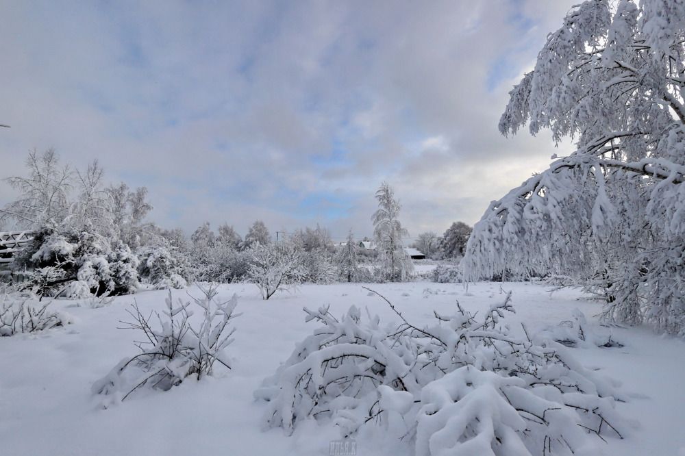Фотография автора Илья К