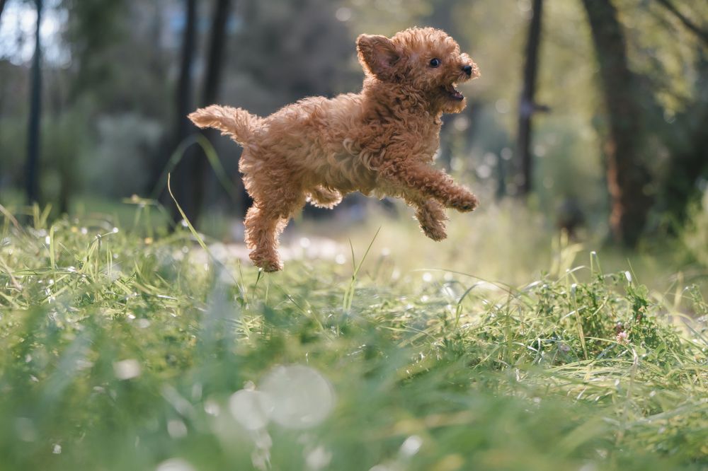 Photograph by Анастасия Жучкова