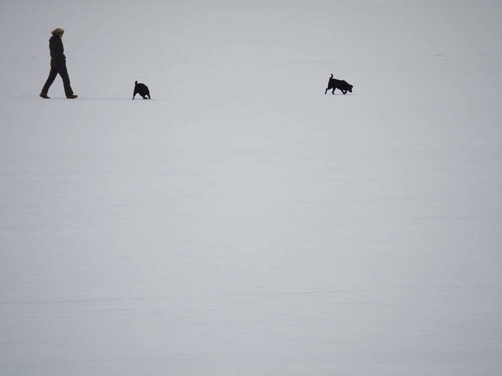 Photograph by Попов Виктор