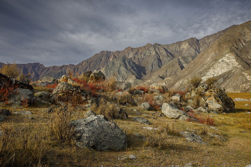 Photograph by Дмитрий Юдин