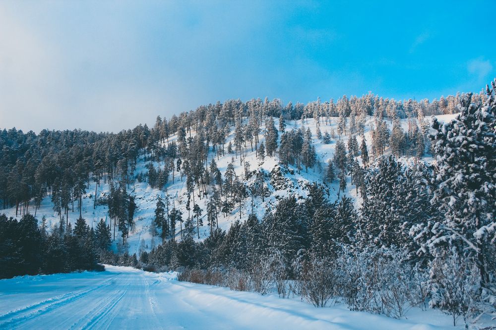 Photograph by Ellina Ksendzyuk