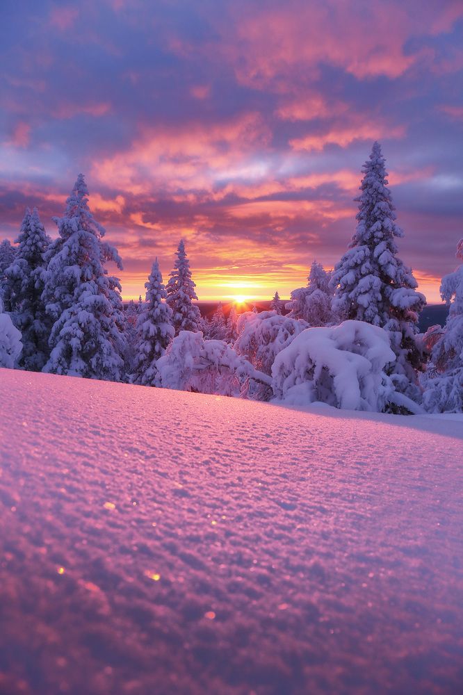 Photograph by Сергей Гарифуллин