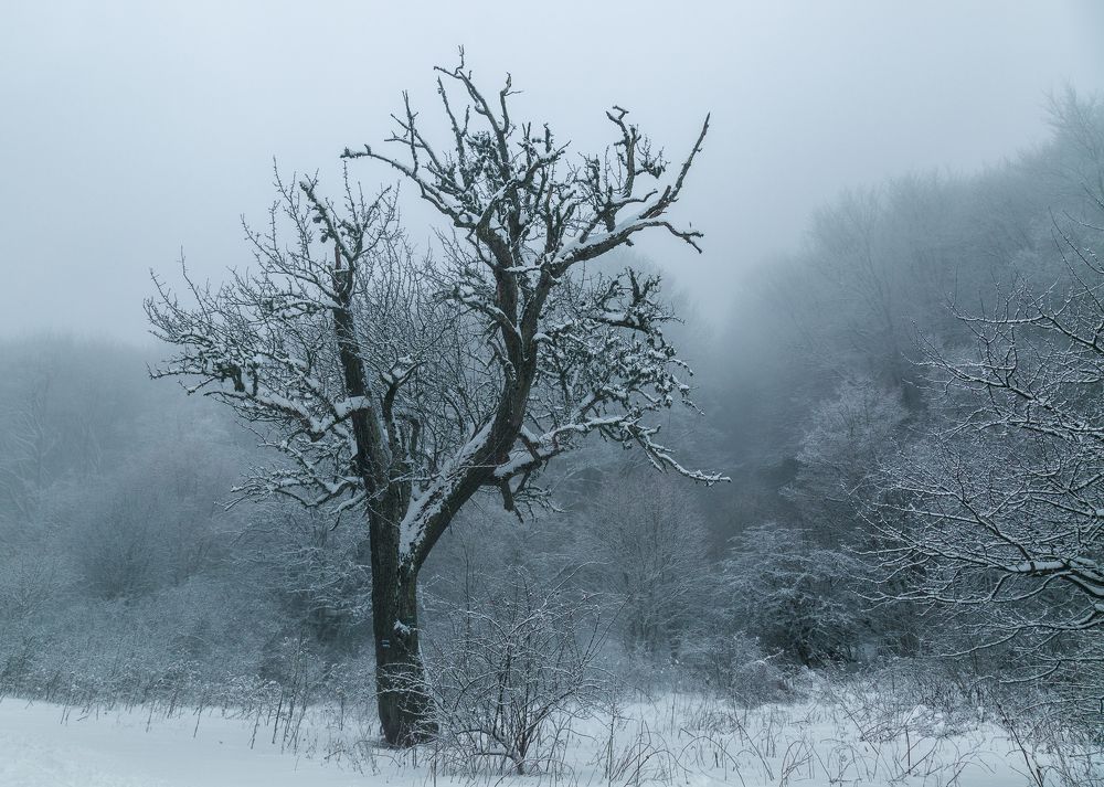 Photograph by Олег Ибрагимов