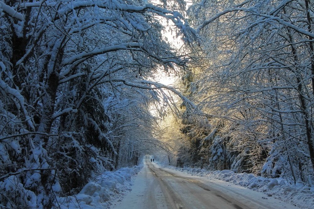 Photograph by Алла Бойко