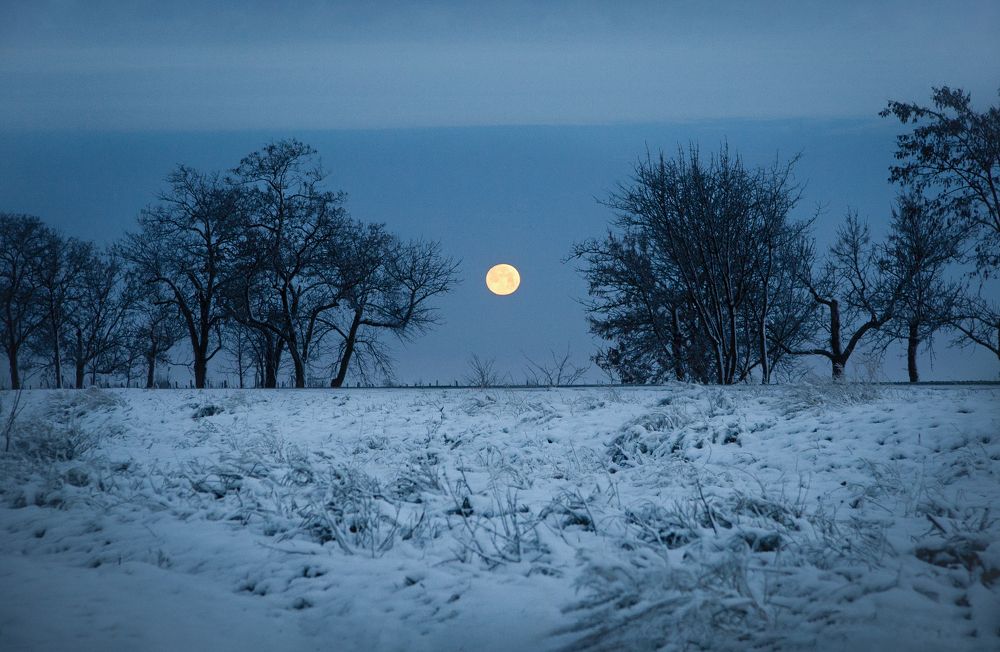 Photograph by Олег Ибрагимов