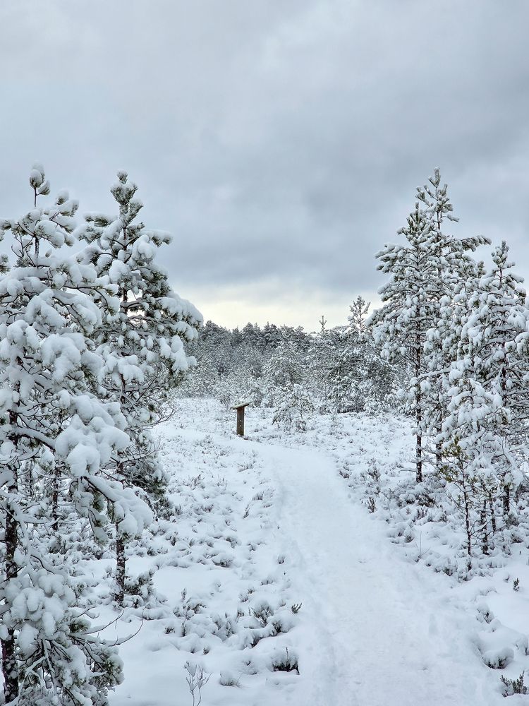 Photograph by Наталия Короленко