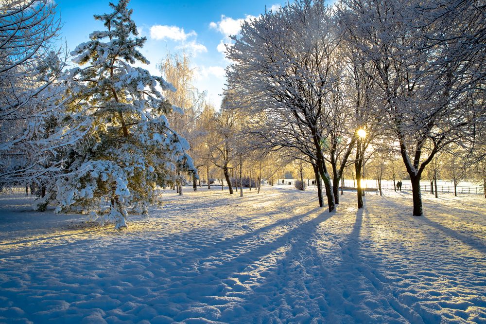 Зима в парке.