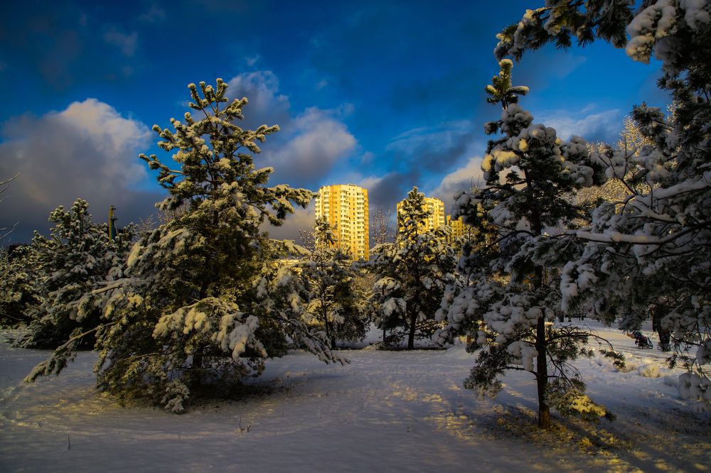 Зима в парке.