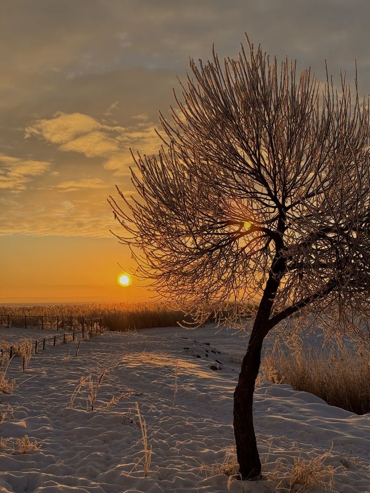Photograph by Виктория Баева