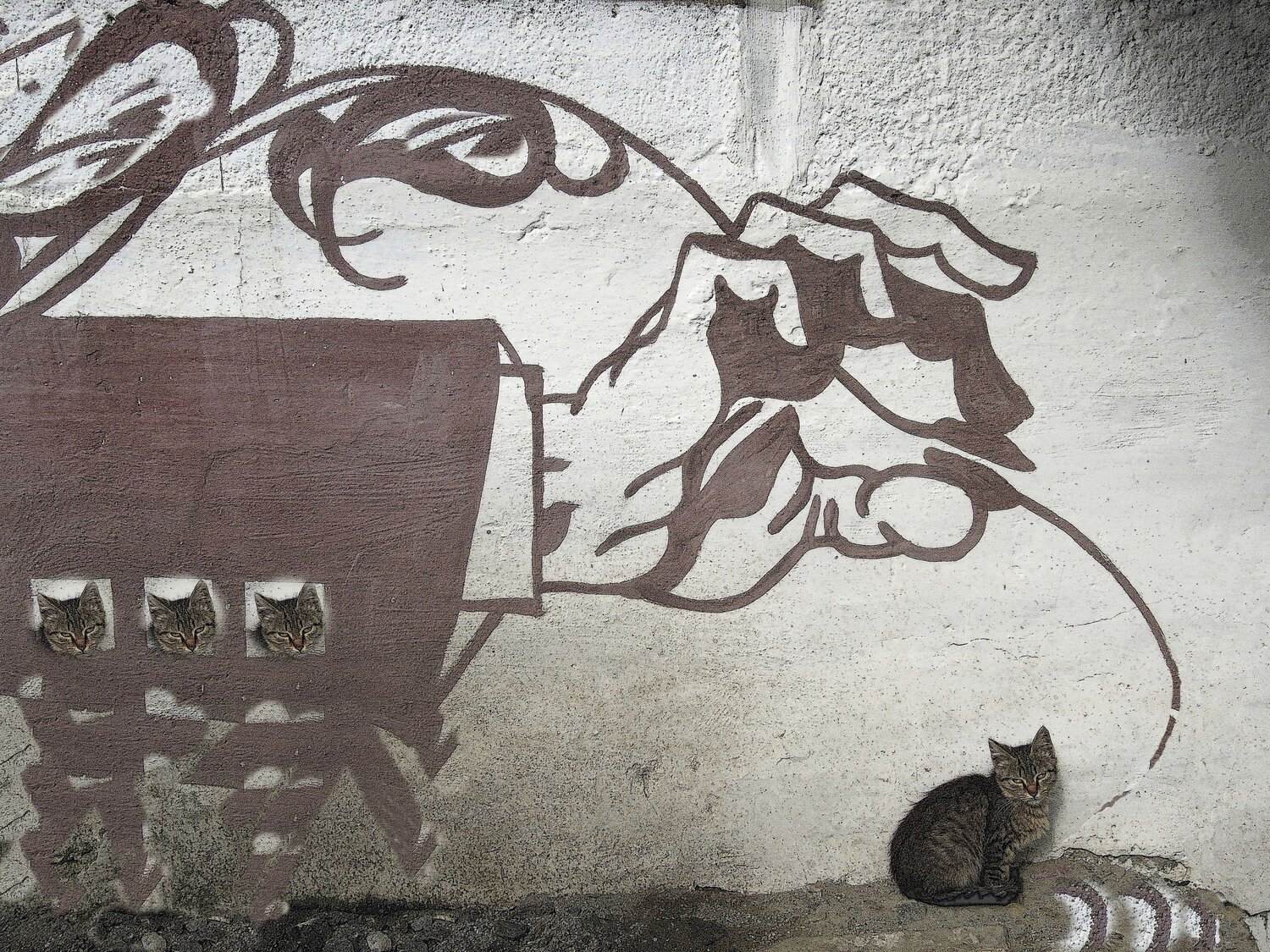 Photo #11674133