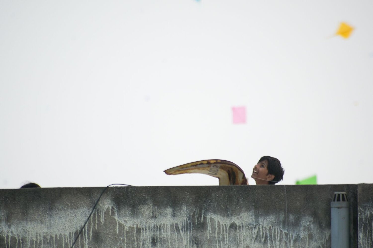 Photo #11674140