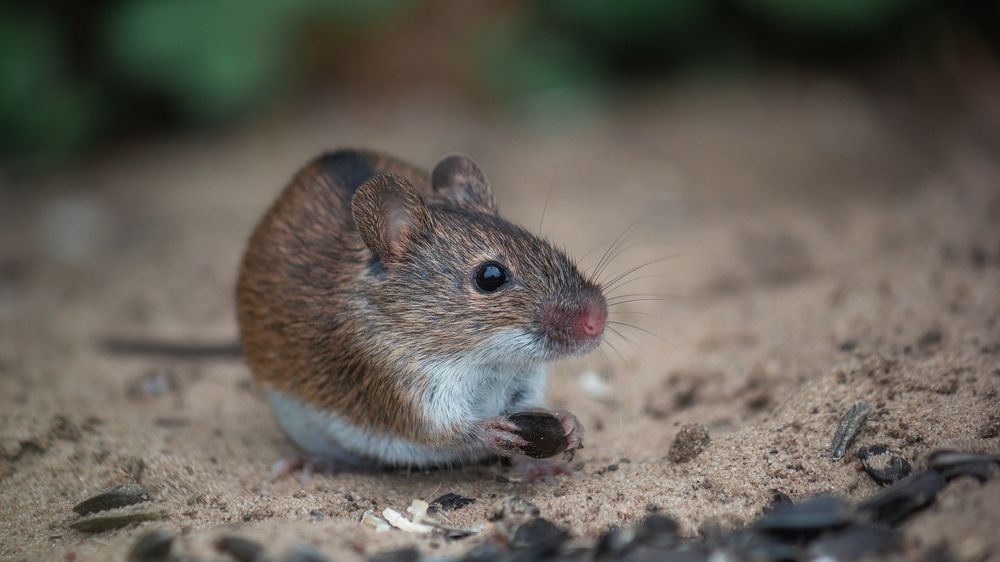 Photograph by Alexander Eliseev