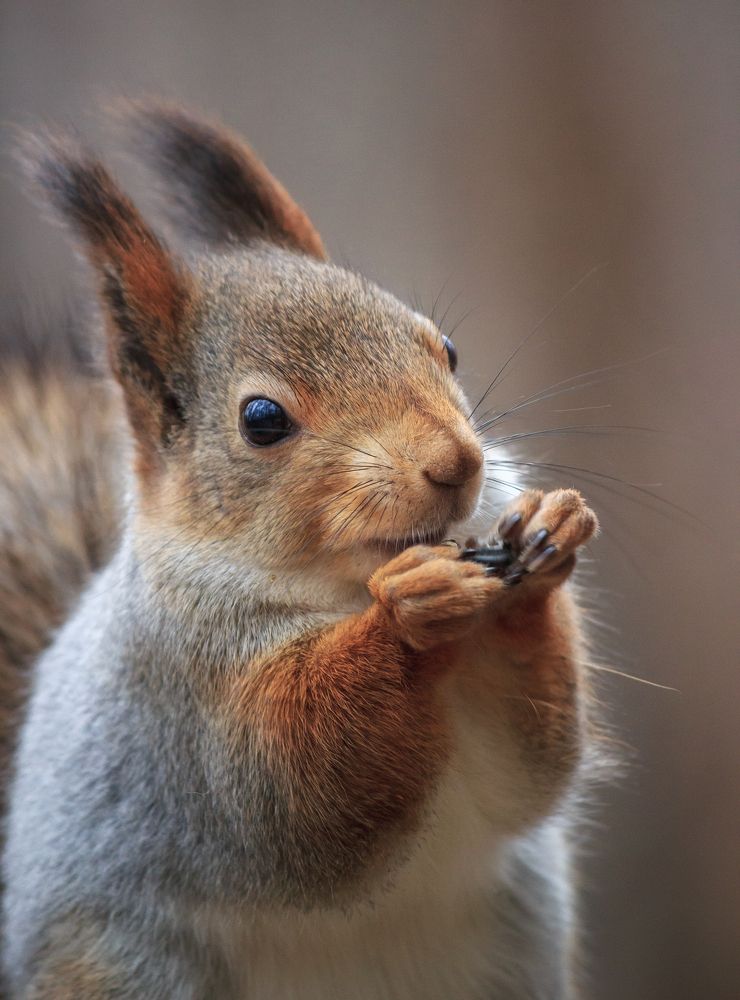 Photograph by Alexander Eliseev