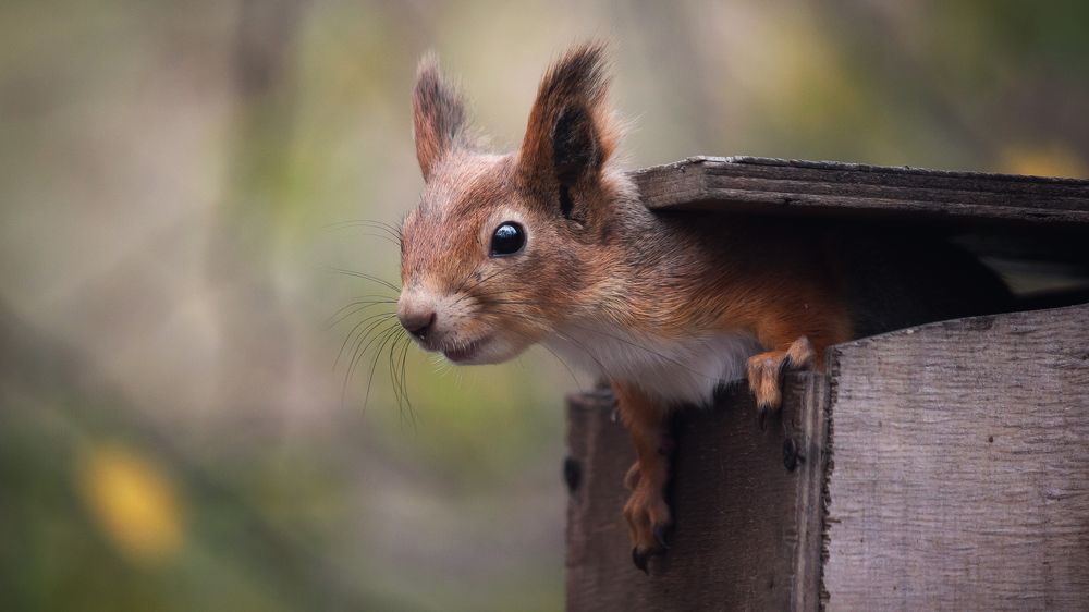 Photograph by Alexander Eliseev