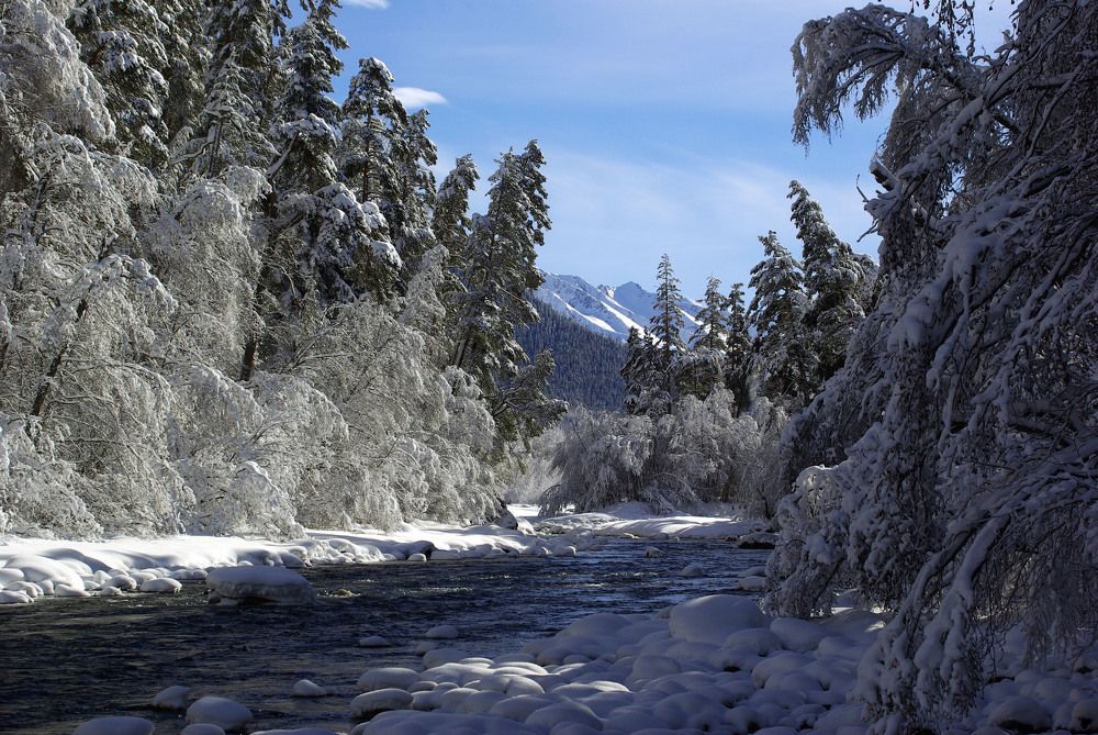 Photograph by Андрей Любимов