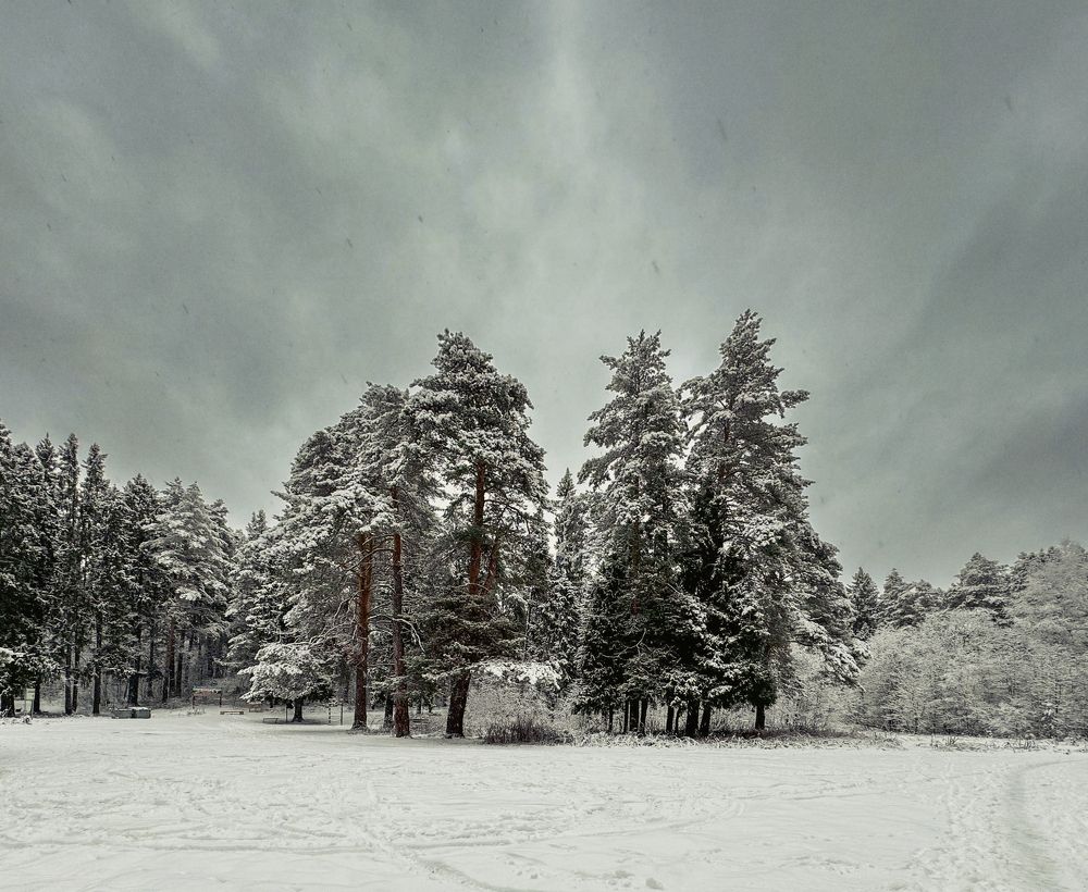 Photograph by Ольга Чибисова