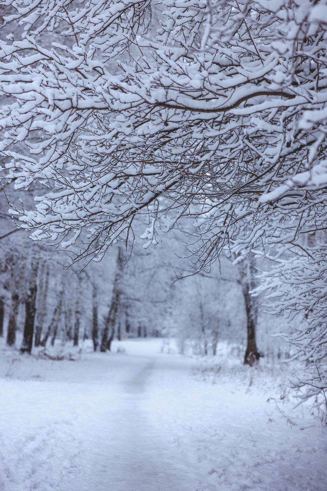 Photograph by Ольга Чибисова