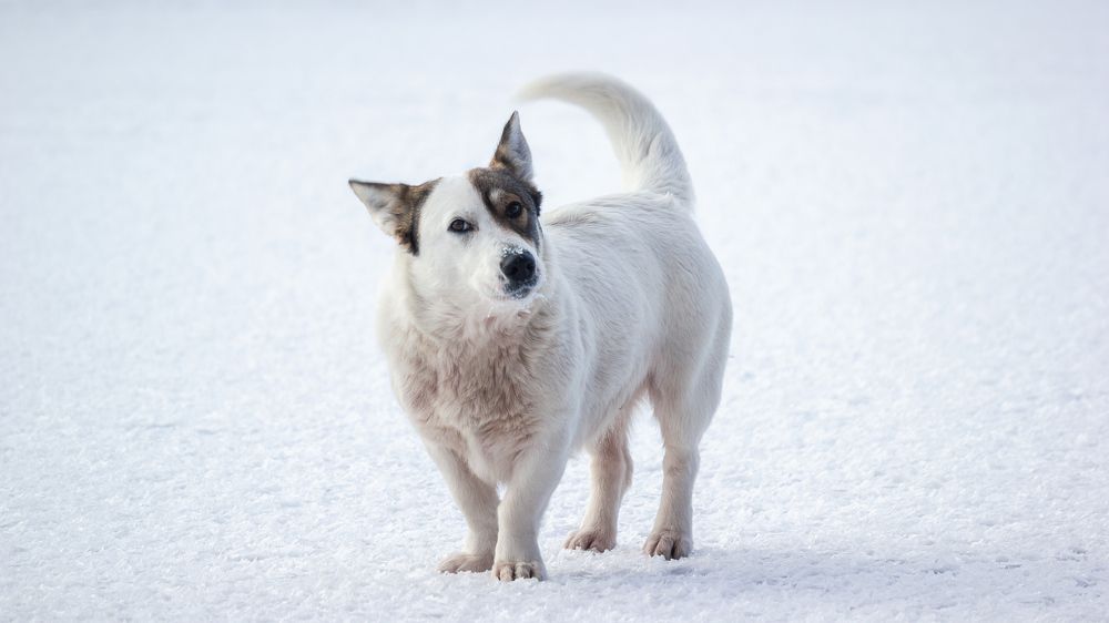 Photograph by Alexander Eliseev
