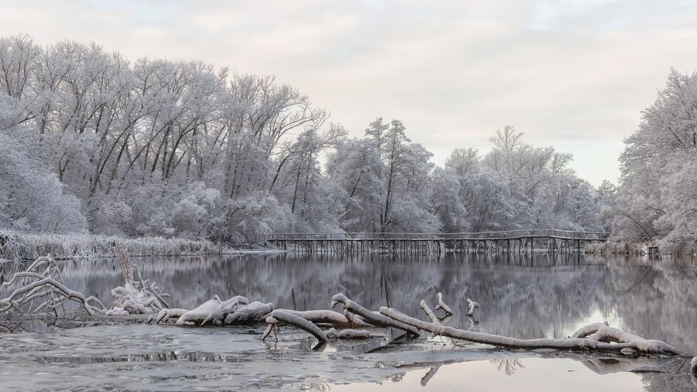 Photograph by Alexander Eliseev