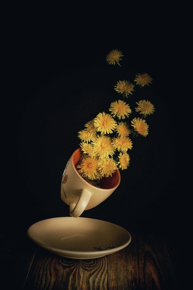 Photograph by Ірина Харитонова