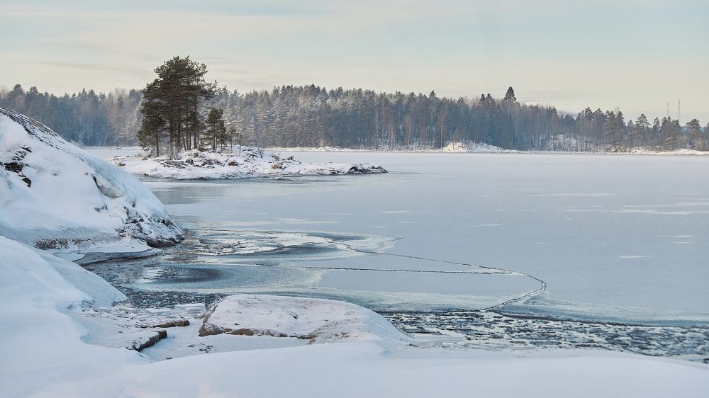 Photograph by Дмитрий Лепаков