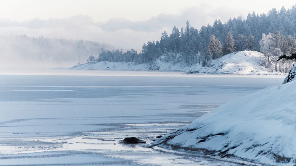 Photograph by Дмитрий Лепаков