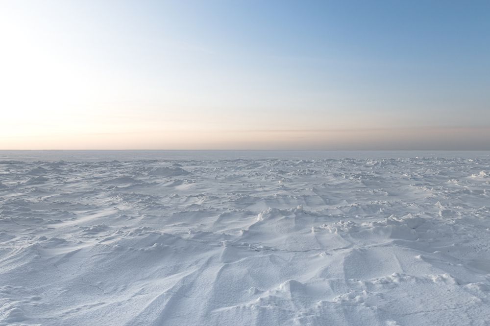 Photograph by Никита Павлов