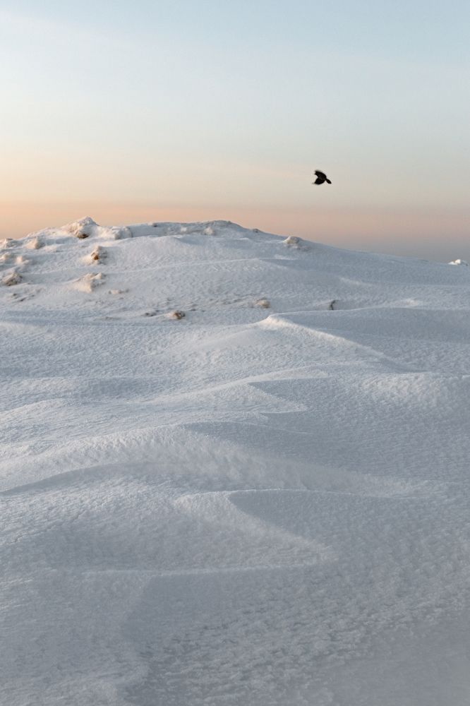 Photograph by Никита Павлов