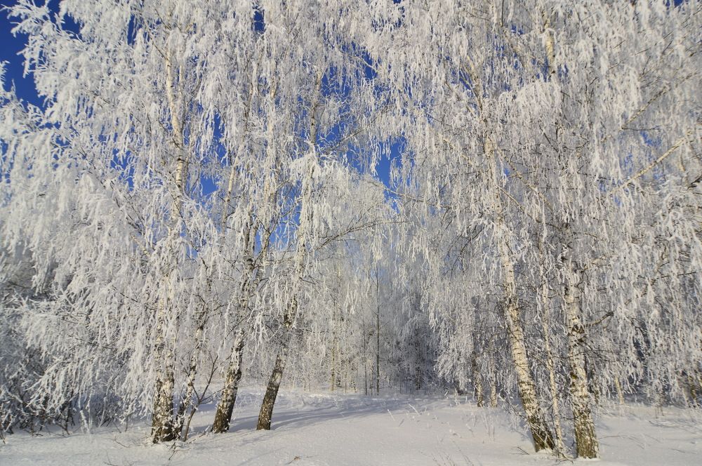 Фотография автора Клавдия Васильева