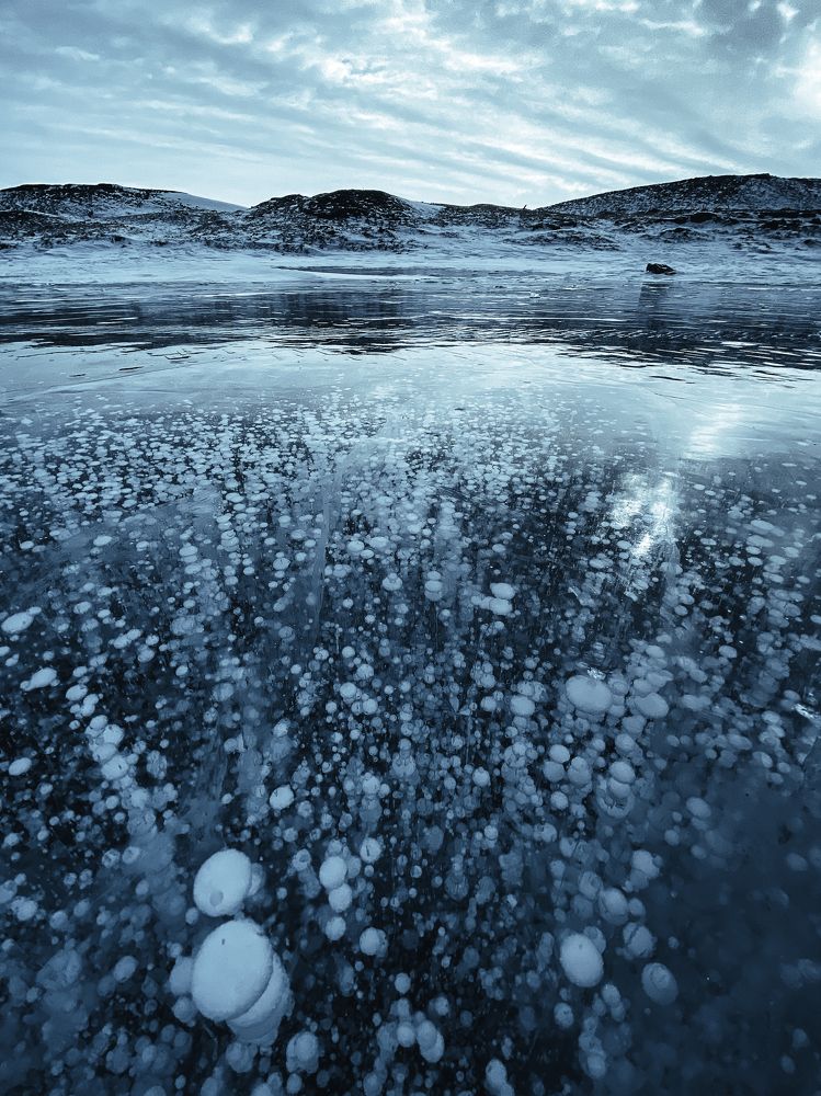 Photograph by Anna Fors