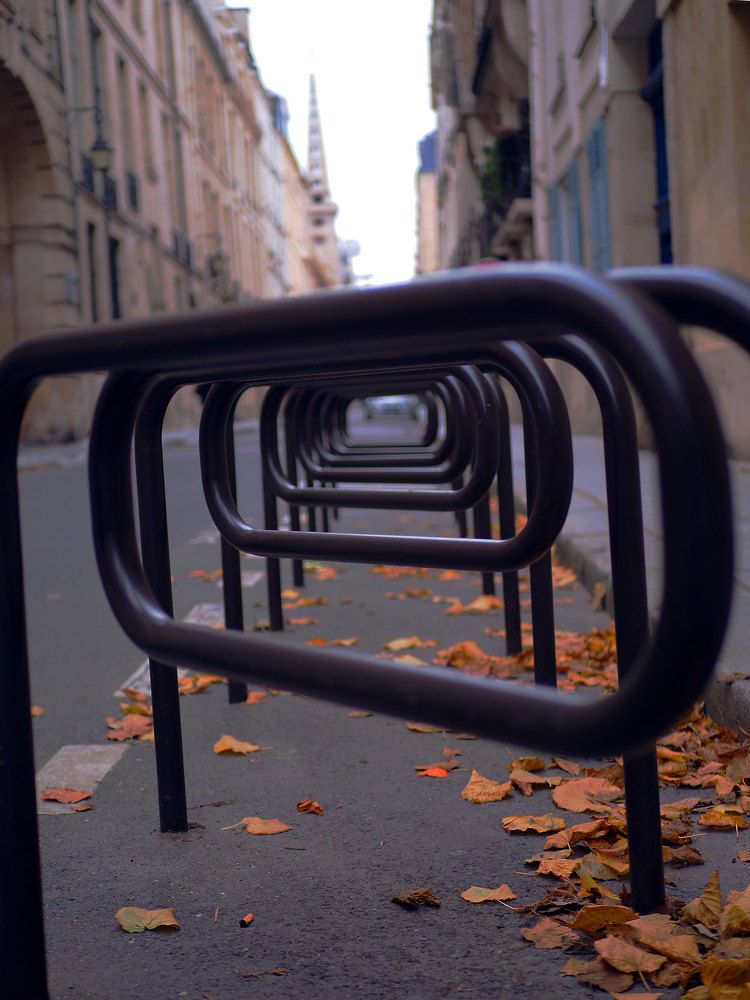 Photograph by Алексей Гнедовский