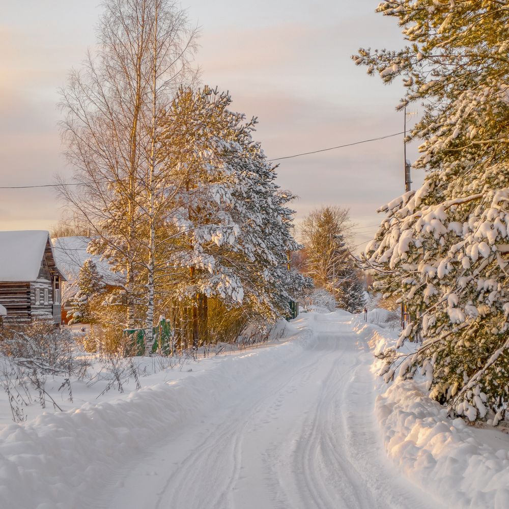 Фотография автора Иван Комаров