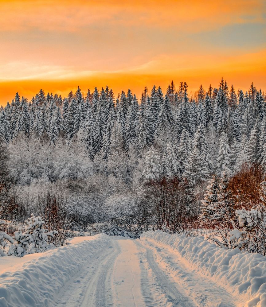 Фотография автора Иван Комаров