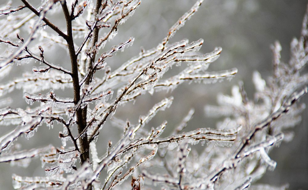 Photograph by Marina Shamonina