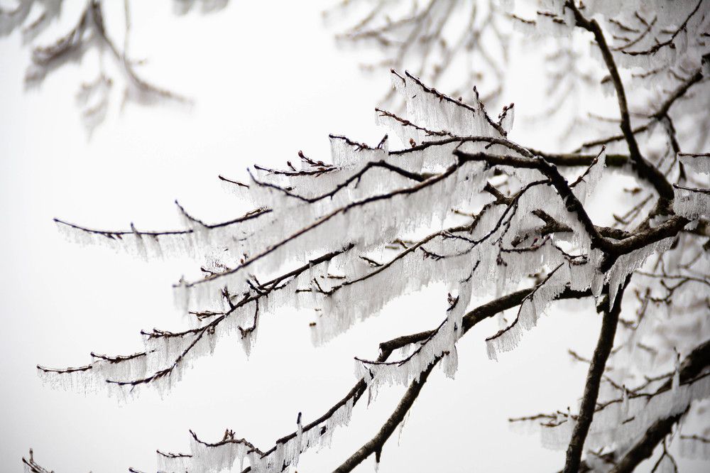 Photograph by Marina Shamonina