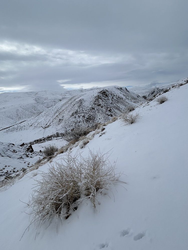 Photograph by Лариса Кошеляевская