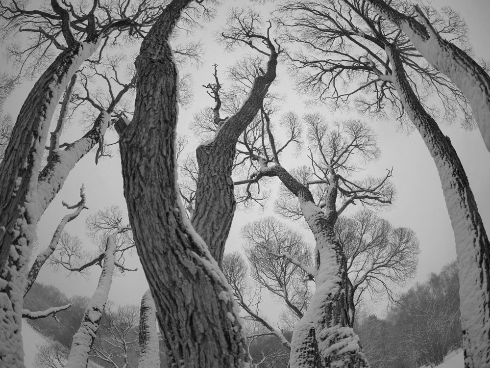 Photograph by Попов Виктор