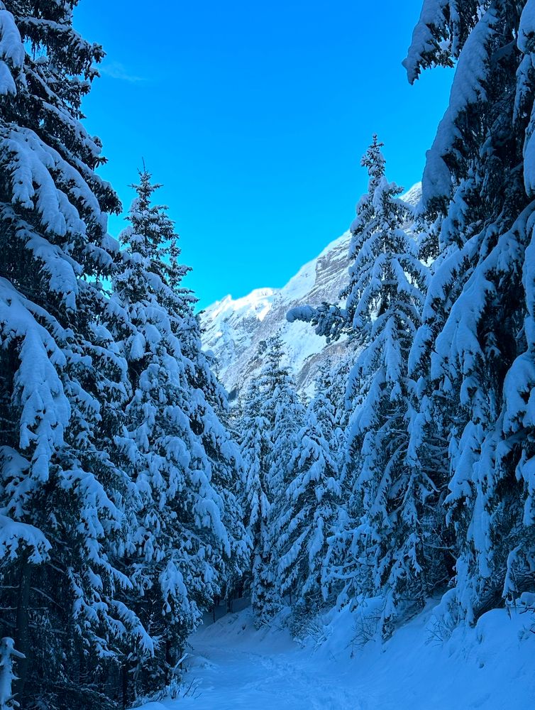 Photograph by Юлия Немченко