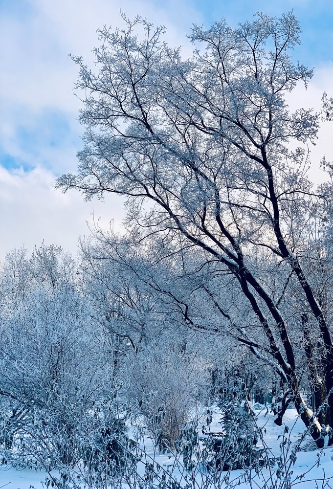 Photograph by Елена Чулюнина