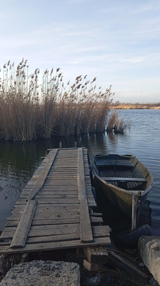 Photograph by Алевтина