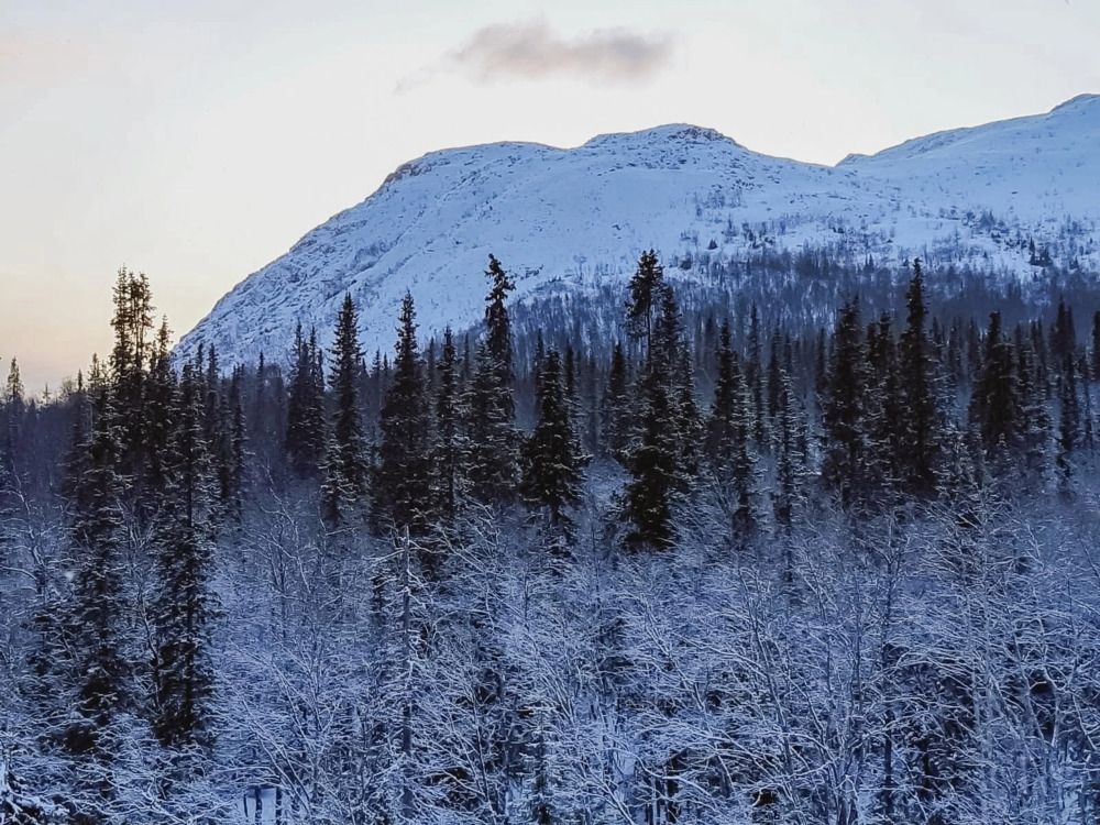 Хибины, горы, зима