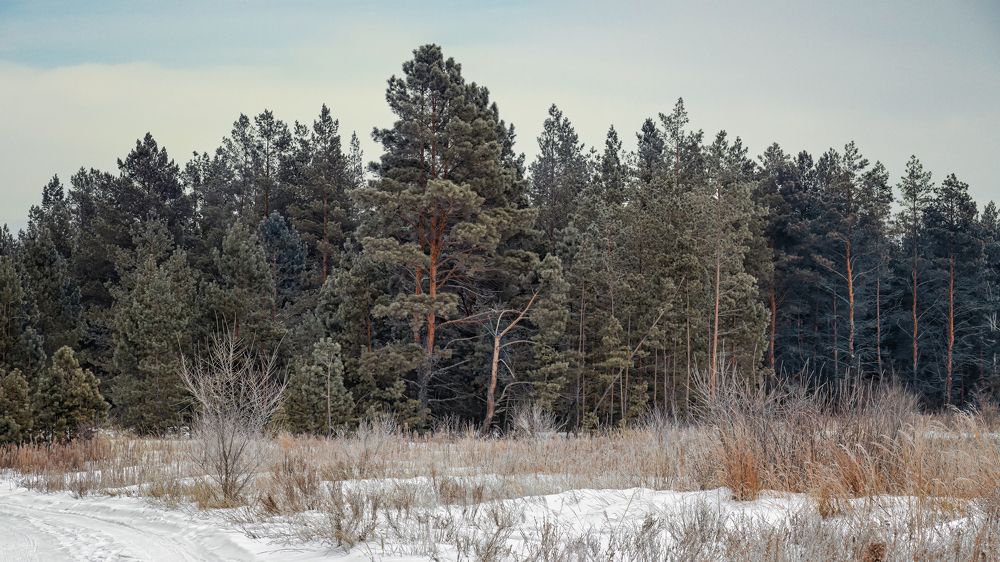 Photograph by Олег Белан